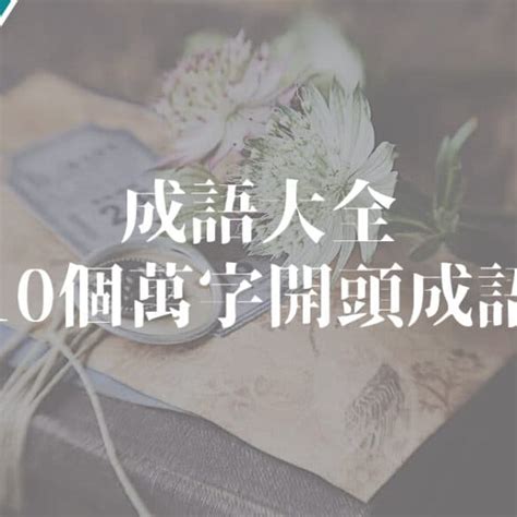 情的成語|情開頭成語，情字開頭的常用成語